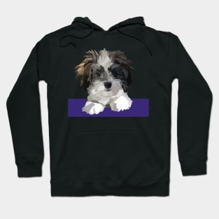 Cute Cavachon Maltese Poodle mix dog Hoodie